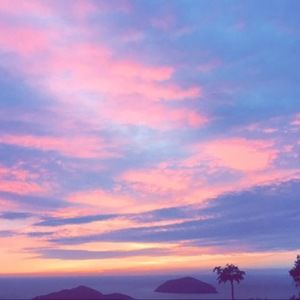 Meet your Posher, Chanice